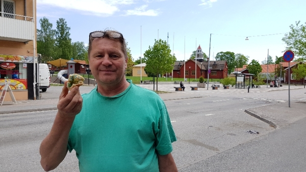 Ronald Heino är bussförare och tycker mer ska satsas på barnen.
- Familjefrågan måste lyftas. För många familjer splittras för lätt på grund av LVU. Det måste finnas mer för barnen så de fångas upp och inte börjar med till exempel droger. 
- I övrigt bör man satsa på naturen och sjövård.