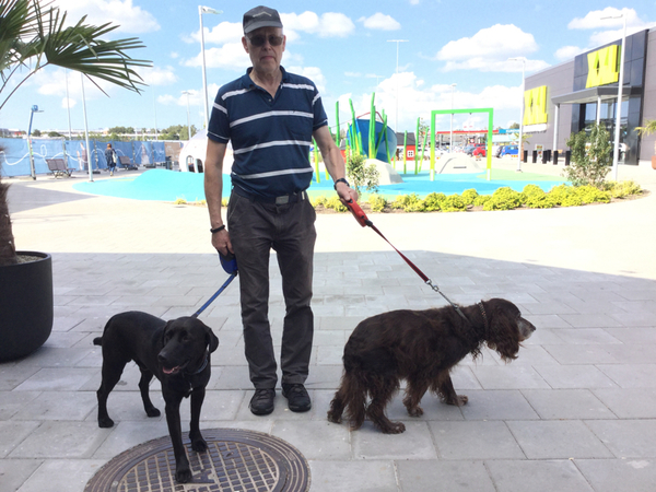 HALMSTAD. Bengt Johansson, 67, från Torup i Hylte kommun har inte helt bestämt vad han ska rösta på.
- De här kommande dagarna ska jag läsa in mig så mycket jag kan gällande de frågor som intresserar mig: skola, utbildning och vården. Man ska inte bara rösta på det man tycker utan ska tänka på sitt eget också, säger han.