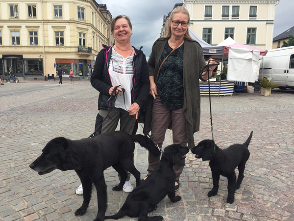 NYKÖPING. Charlotta Persson, 57 år, och Eva Wassberg, 63 år:
- Det är två partier i riksdagsvalet som jag velar mellan. Det har varit svårt att bestämma sig även tidigare. Det är ett viktigt beslut som ska kännas bra, säger Charlotta Persson.
- Jag är säker på vad jag ska rösta på i riksdagsvalet, men inte i kommunvalet. Det är så olika frågor som är viktiga, säger Eva Wassberg.