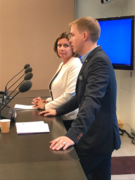 - Utifrån valresultatet ser den bästa regeringen, som är fast förankrad i demokratiska värden, ett mittenalternativ, säger Gustav Fridolin.