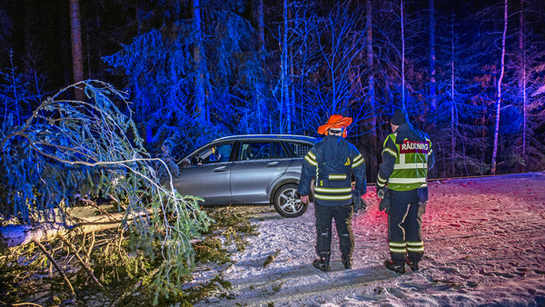 DALARNA: På länsväg 732 vid Pålsbenning i Hedemora har en personbil krockat med träd som fallit över vägen Foto: Niklas Hagman/TT