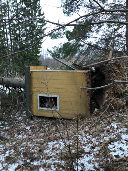 Ett litet skjul har rasat med ett nedfallet träd i Vendelsö, Haninge, söder om Stockholm. FOTO: SVT
