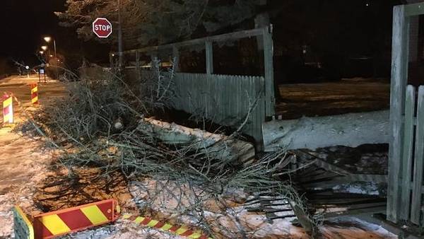 Ett träd har fallit rakt över ett stängsel och in på en tomt i Uppsala län, där SMHI- gick ut med en klass 2-varning under natten. FOTO: SVT
