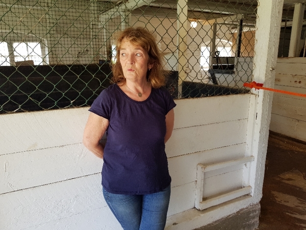 Elaine Henrikssons två hästar stals  inatt av, men kunde föras hem i igen tack vare en väktare som lyckades stoppa de misstänkta ungdomarna. Nu är Elaine orolig framförallt för en av hästarna som är sjuk och inte får äta gräs. Senare i eftermiddag publicerar vi en intervju med Elaine.