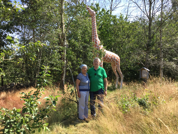 I Lindberg träffade jag Ulla och Hans Benjaminsson som har en lite annorlunda trädgård. Den är nämligen full av skulpturer föreställande olika djur och annat, i full skala, som Hans, 85, själv gjort. Här står paret framför giraffen. Missa inte inslaget framöver! /Marcus