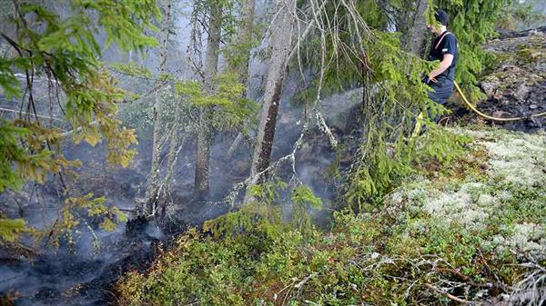 Släckningsarbete i höjd med Seglingsberg i skogsbrandsområdet i Västmanlan på onsdagen. Foto: TT