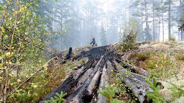 Släckningsarbete i höjd med Seglingsberg i skogsbrandsområdet i Västmanlan på onsdagen. Foto: TT